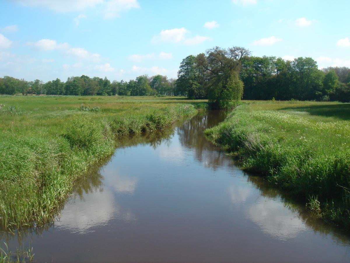 Herberg De Fazant Oudemolen Экстерьер фото
